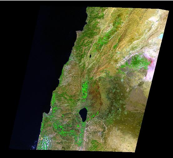 TM Image