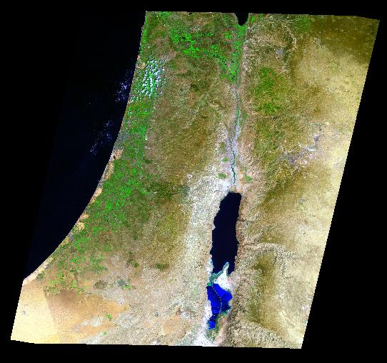 TM Image