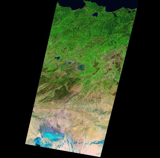 TM Image
