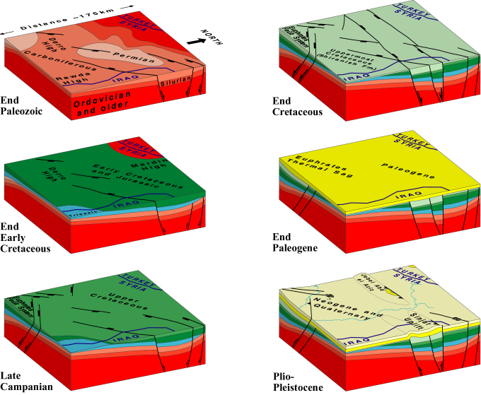 3D Evolution Model